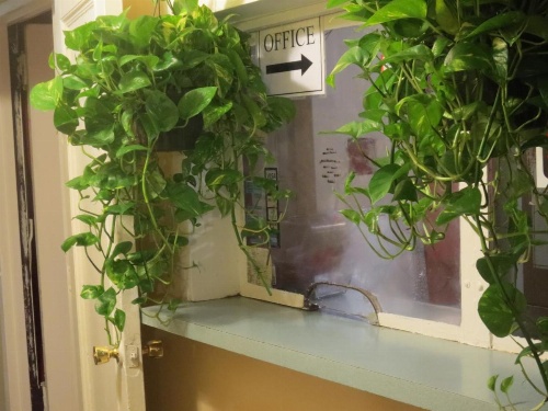 Neptune Hotel image 26